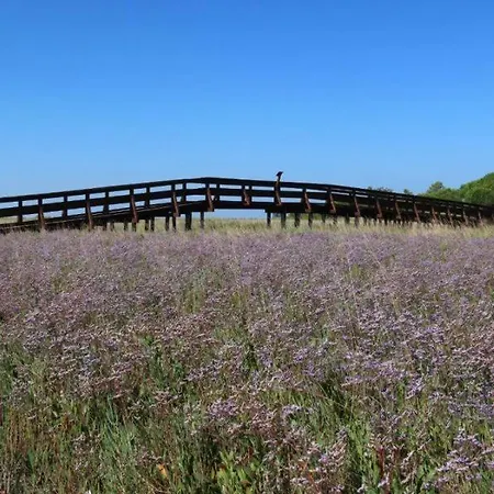 Pirata 度假居 罗索利纳