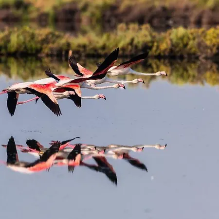 Pirata Vakantiehuis Rosolina