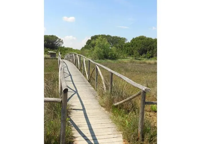 Nyaraló Pirata Rosolina