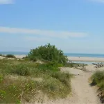 Pirata روسولينا