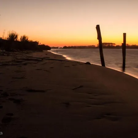 Pirata * Розолина