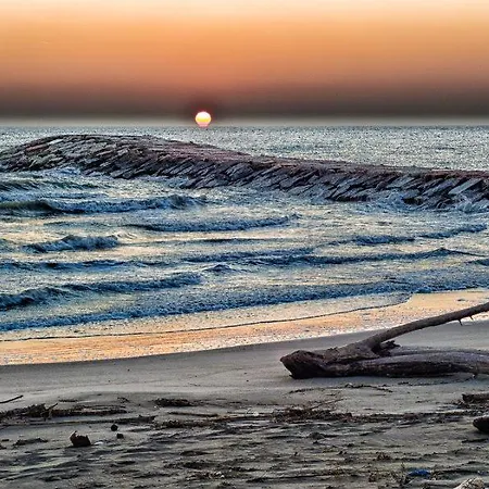 Pirata * روسولينا