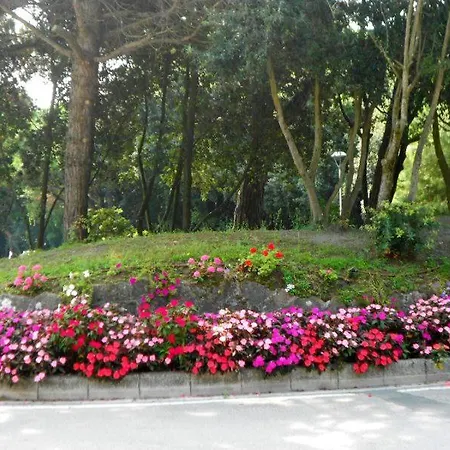 Pirata Дом отдыха