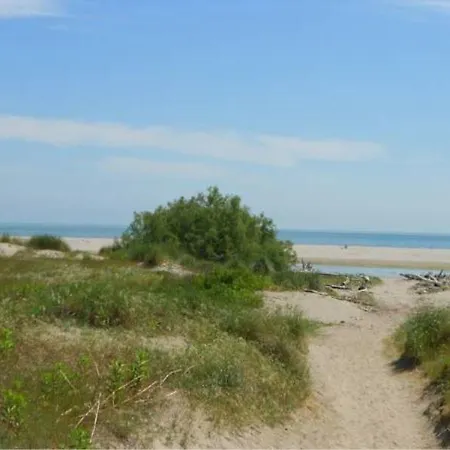 Pirata روسولينا