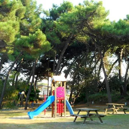 Pirata * Rosolina